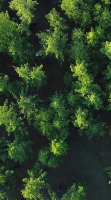 Tate Sustainability Thumbnail No Logo Eu En